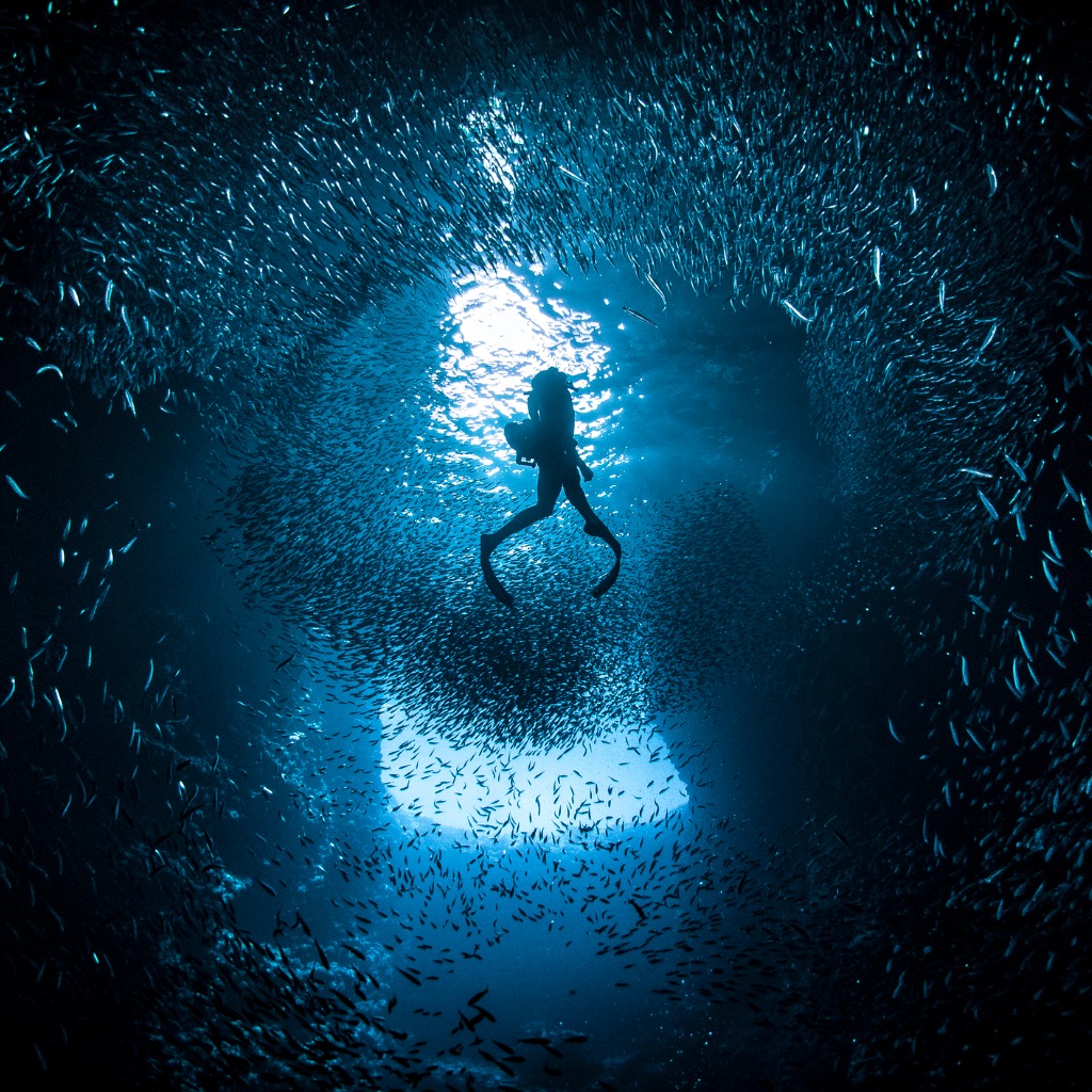 Diving Medical